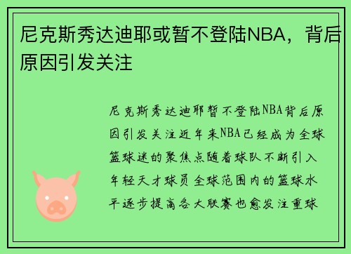 尼克斯秀达迪耶或暂不登陆NBA，背后原因引发关注