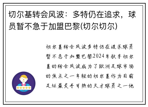 切尔基转会风波：多特仍在追求，球员暂不急于加盟巴黎(切尔切尔)