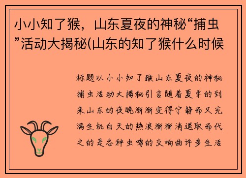 小小知了猴，山东夏夜的神秘“捕虫”活动大揭秘(山东的知了猴什么时候出来)