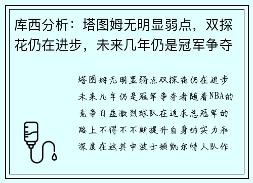 库西分析：塔图姆无明显弱点，双探花仍在进步，未来几年仍是冠军争夺者